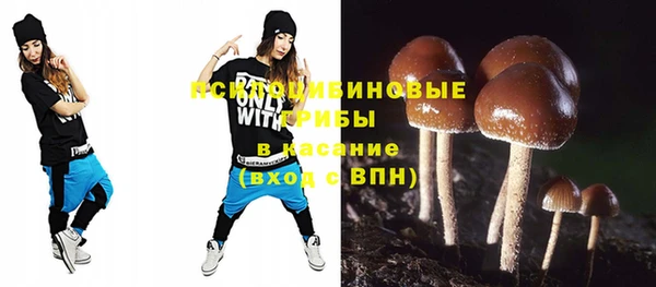 винт Богородицк