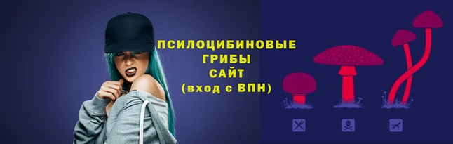 винт Богородицк