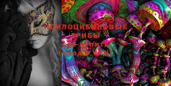 синтетический гашиш Богородск