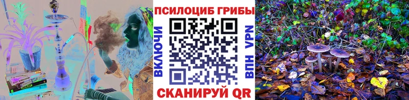 Псилоцибиновые грибы ЛСД  купить наркотик  Кирсанов 